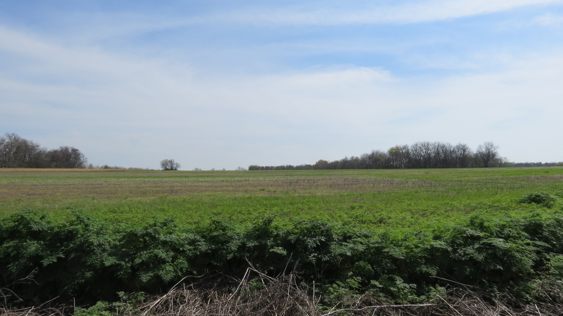 Farm and Recreational Land For Sale in Barton County, MO